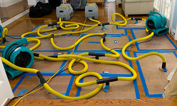 Professional Structural Drying And Dehumidification technician working in Hayward, MN